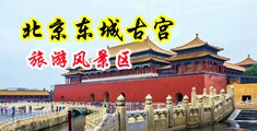欧美大阴户暴肏双插中国北京-东城古宫旅游风景区